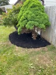 Local yard maintenance in Levittown, PA - Bakers Property Maintenance