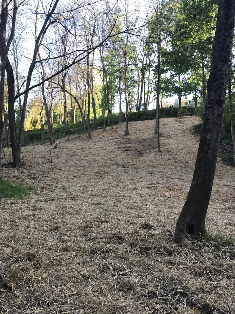 Top-rated residential landscaping with custom design across Mifflintown, PA - Bakers Property Services