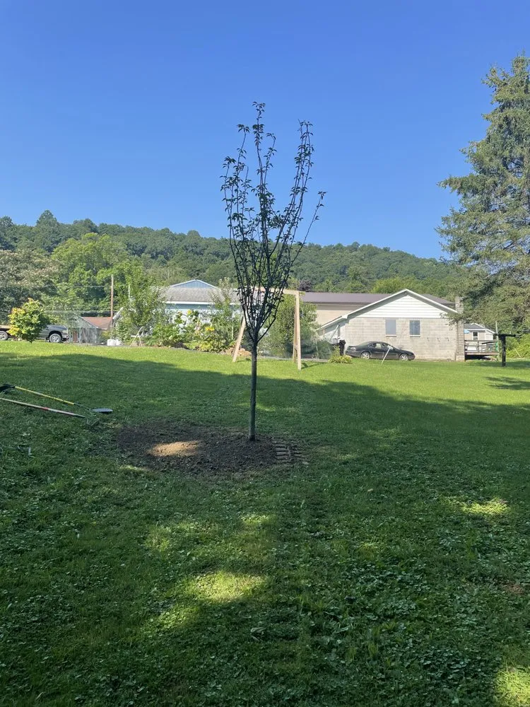 Affordable landscaping services experts serving Mifflintown, PA - Bakers Property Services