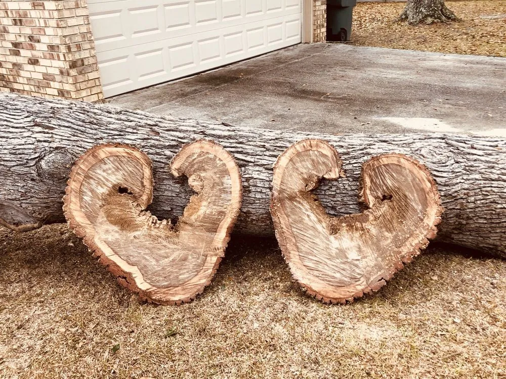 Expert landscape design in Savannah, GA by Bakers Tree Service