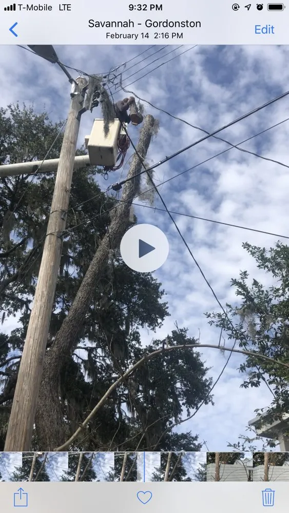 Reliable landscape installation in Savannah, GA by Bakers Tree Service