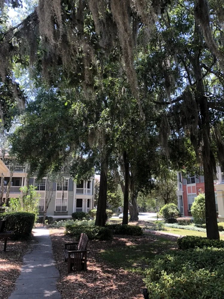 Professional yard cleanup service with custom design across Savannah, GA - Bakers Tree Service