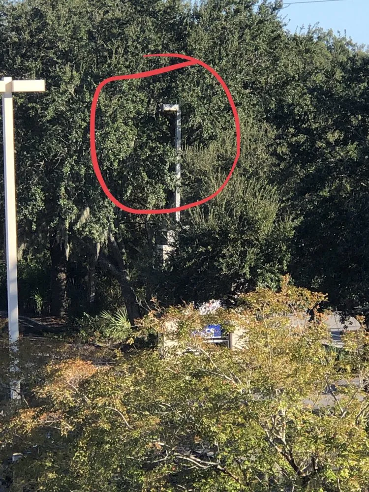 Top-rated lawn care service in Savannah, GA - Bakers Tree Service