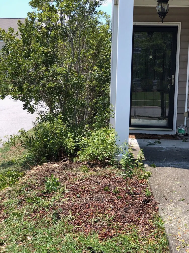 Professional landscape installation in Savannah, GA - Bakers Tree Service