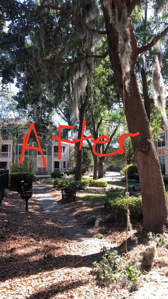 Trusted yard maintenance for outdoor upgrades in Savannah, GA by Bakers Tree Service