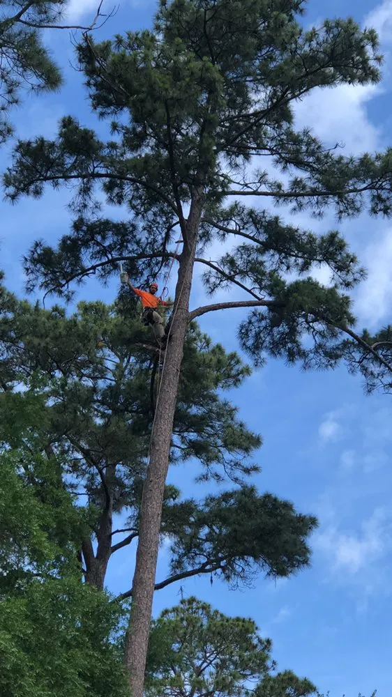 Local garden landscaping in Savannah, GA - Bakers Tree Service