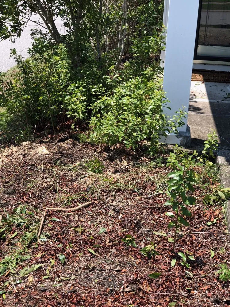 Affordable lawn mowing service in Savannah, GA - Bakers Tree Service