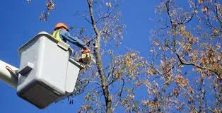 Custom residential landscaping in Savannah, GA by Bakers Tree Service