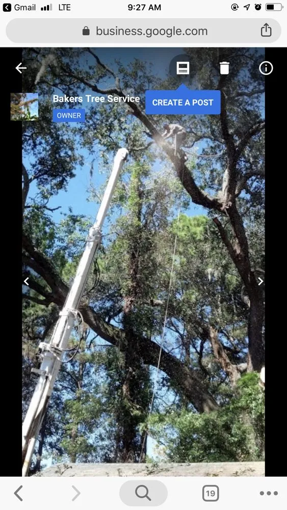 Custom yard maintenance for homes in Savannah, GA by Bakers Tree Service