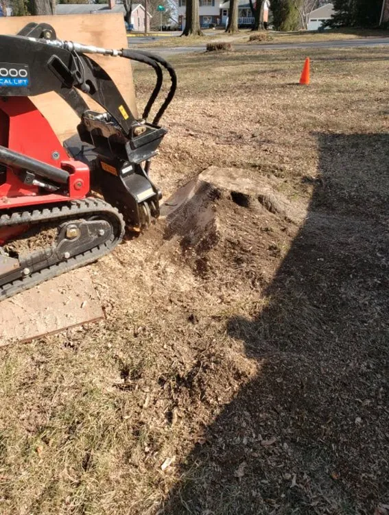 Local lawn care service in Lewisberry, PA - Bakers Tree Services