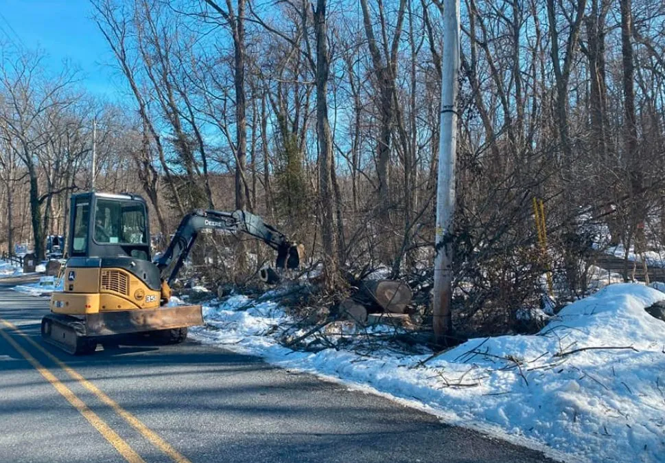 Trusted yard cleanup service near you in Lewisberry, PA by Bakers Tree Services