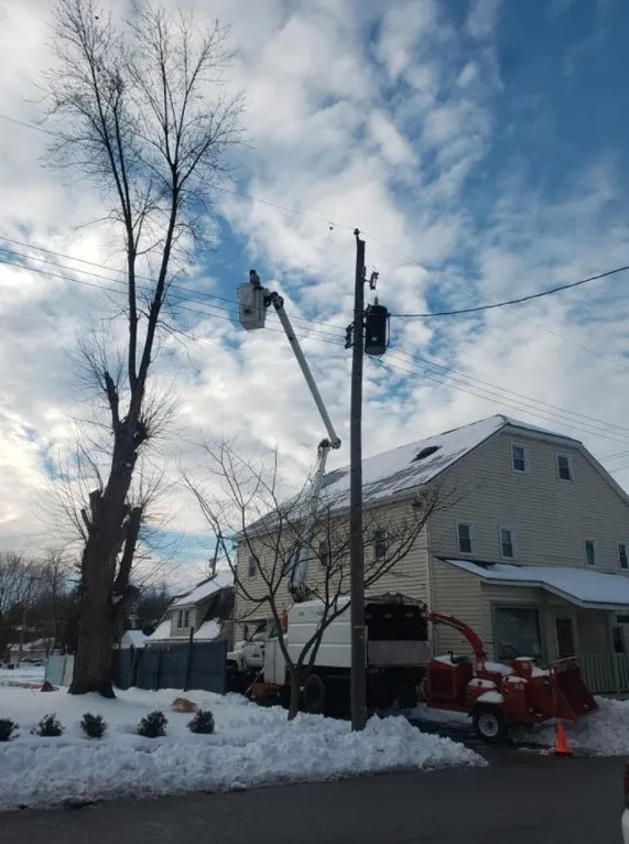 Trusted yard cleanup service for homes in Lewisberry, PA by Bakers Tree Services