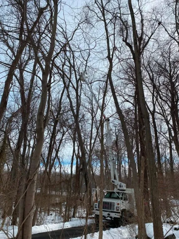 Reliable outdoor landscaping in Lewisberry, PA - Bakers Tree Services