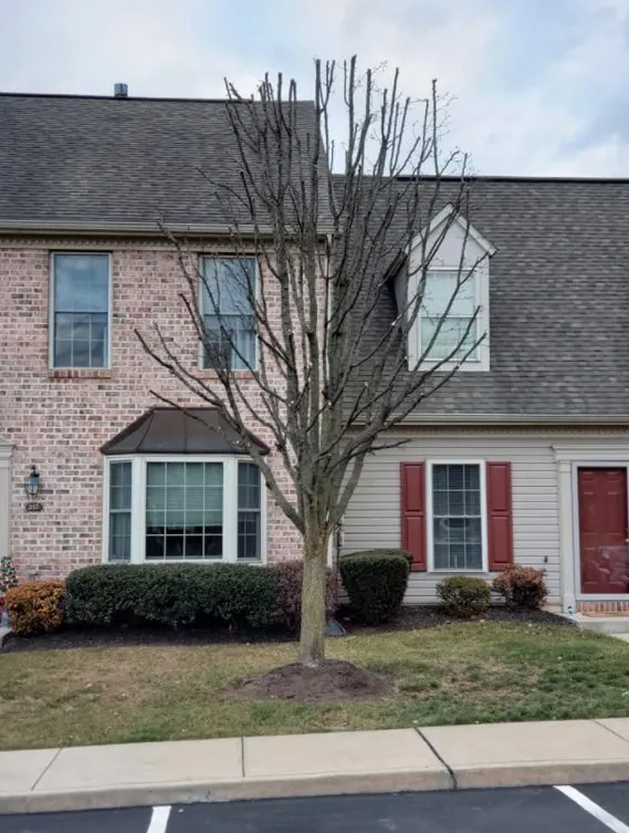 Professional outdoor landscaping in Lewisberry, PA by Bakers Tree Services