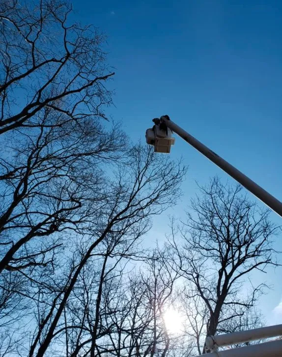 Professional yard maintenance in Lewisberry, PA - Bakers Tree Services