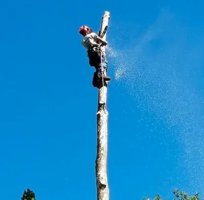 Local landscaping services for year-round maintenance in Lewisberry, PA by Bakers Tree Services