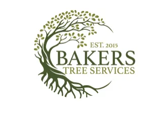 Expert yard maintenance for year-round maintenance across Lewisberry, PA - Bakers Tree Services