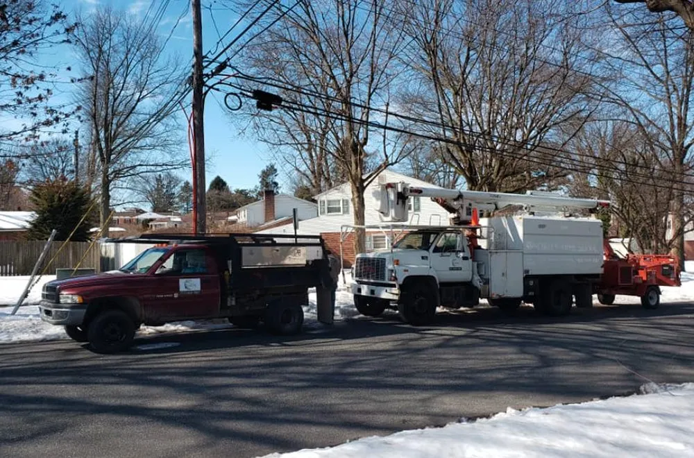 Expert landscape design in Lewisberry, PA - Bakers Tree Services