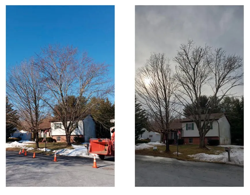 Reliable landscape installation near you in Lewisberry, PA by Bakers Tree Services