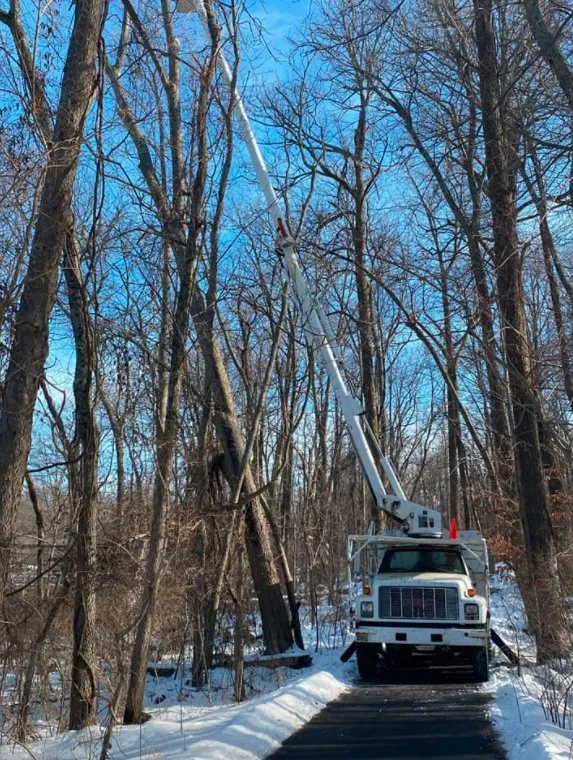 Professional lawn care service for residential properties across Lewisberry, PA - Bakers Tree Services