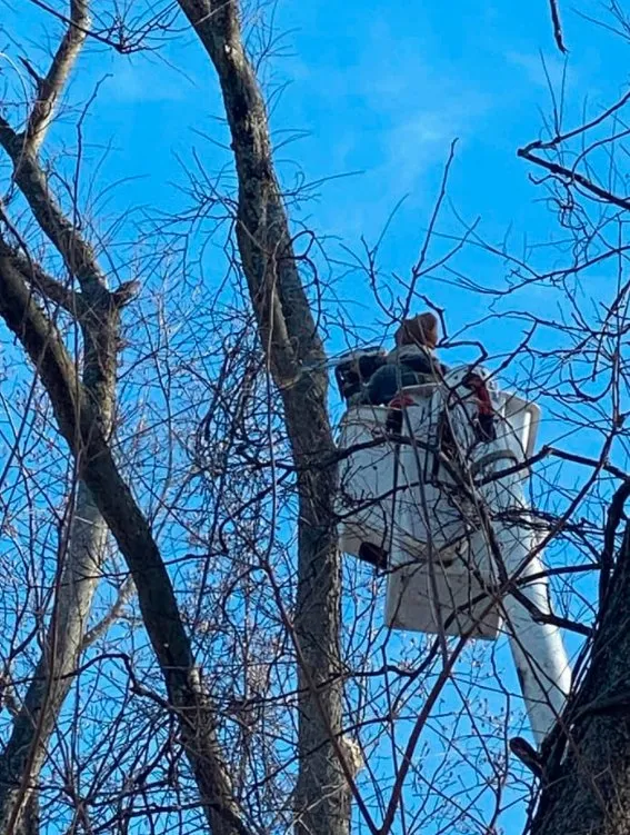 Trusted landscaping services in Lewisberry, PA - Bakers Tree Services