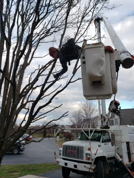 Custom lawn care service experts serving Lewisberry, PA - Bakers Tree Services