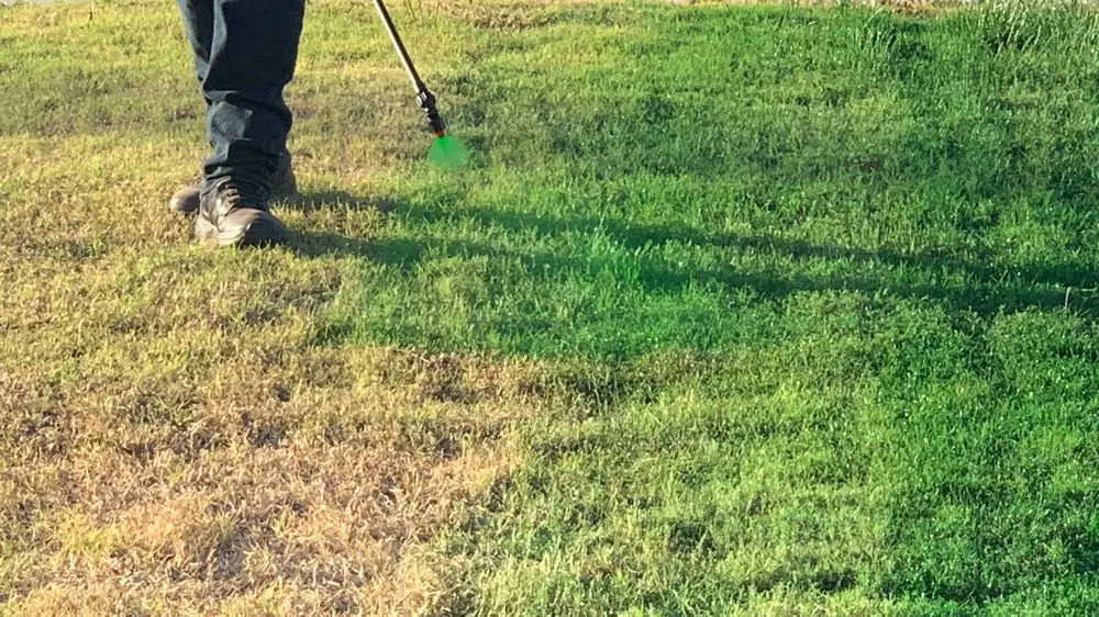 Local residential landscaping near you in Bakersfield, CA by Bakersfield Lawn Painting