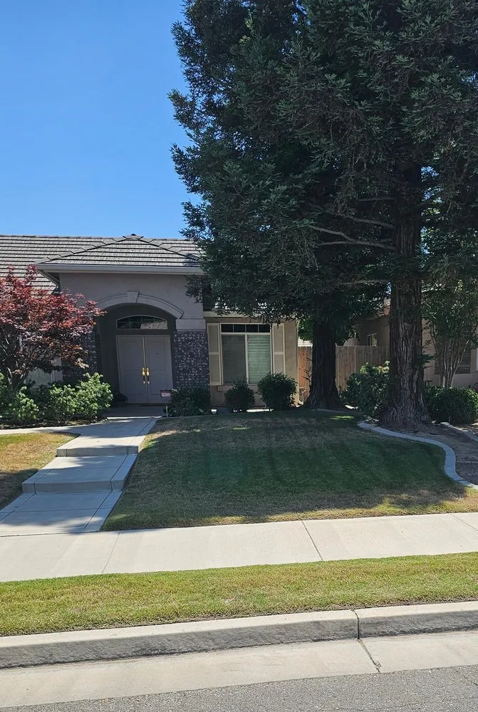 Expert landscape installation experts serving Bakersfield, CA - Bakersfield Lawn Painting