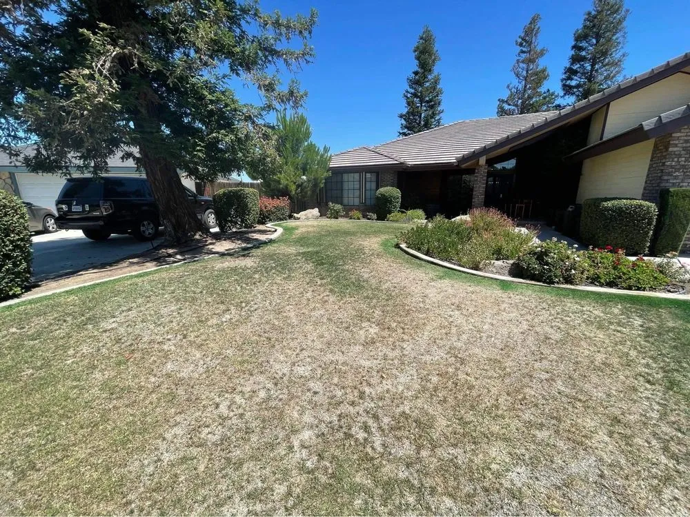 Professional garden landscaping for year-round maintenance across Bakersfield, CA - Bakersfield Lawn Painting