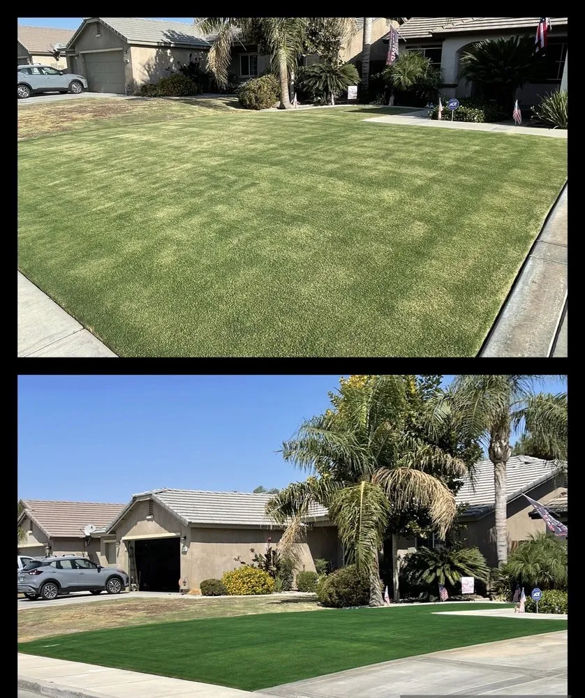 Top-rated lawn care service in Bakersfield, CA by Bakersfield Lawn Painting
