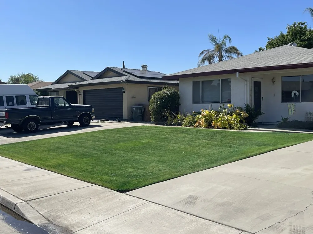 Expert lawn care service in Bakersfield, CA - Bakersfield Lawn Painting