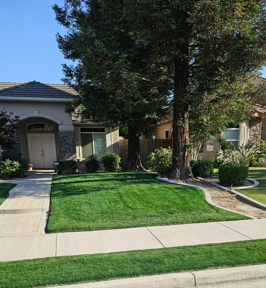 Professional yard maintenance in Bakersfield, CA - Bakersfield Lawn Painting