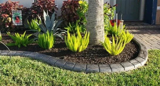 Professional lawn mowing service in Myrtle Beach, SC by Bakerss Services