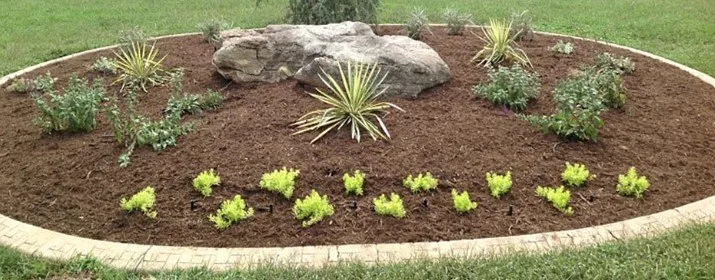 Custom yard cleanup service in Myrtle Beach, SC - Bakerss Services