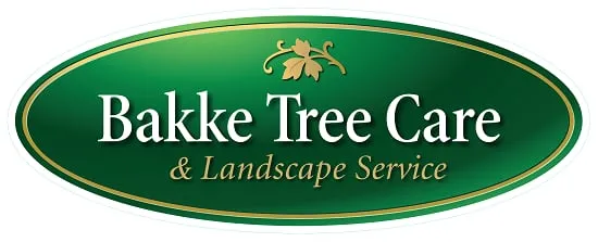Local outdoor landscaping in Eugene, OR - Bakke Tree Care