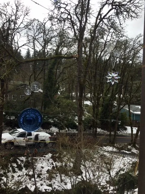 Local yard cleanup service experts serving Eugene, OR - Bakke Tree Care