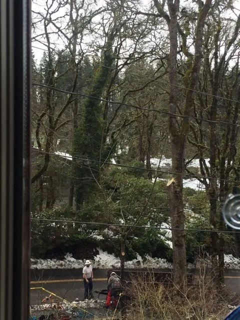 Trusted garden landscaping in Eugene, OR - Bakke Tree Care