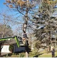 Reliable lawn care service for year-round maintenance across Cologne, MN - Bakkelund Tree & Landscape Service