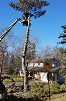 Professional lawn mowing service in Cologne, MN - Bakkelund Tree & Landscape Service