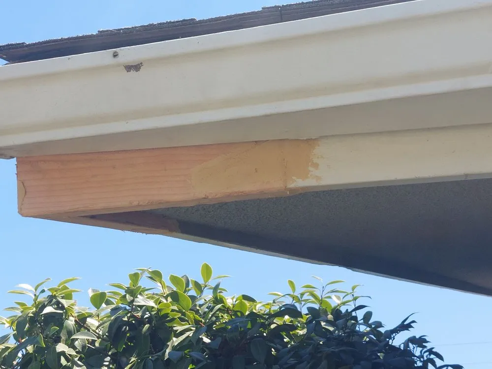 Trusted yard cleanup service for beautiful yards across Bakersfield, CA - Bakoboy Enterprises