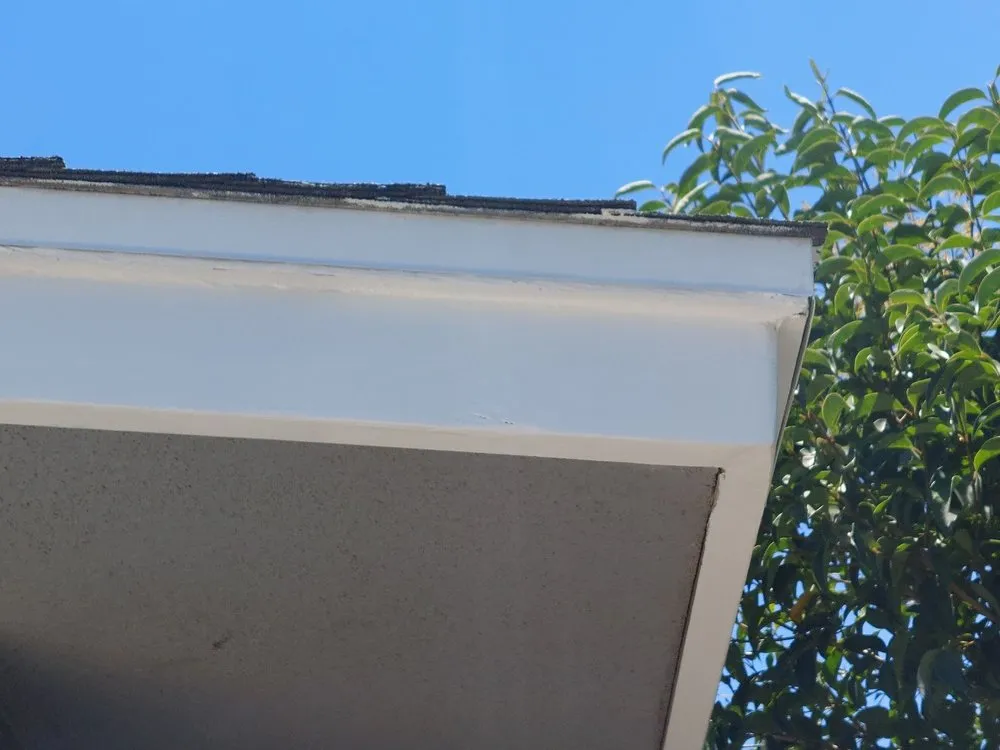 Affordable yard cleanup service in Bakersfield, CA by Bakoboy Enterprises