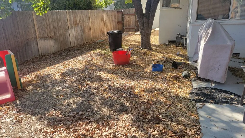 Expert yard maintenance for outdoor upgrades across Bakersfield, CA - Bakoboy Enterprises