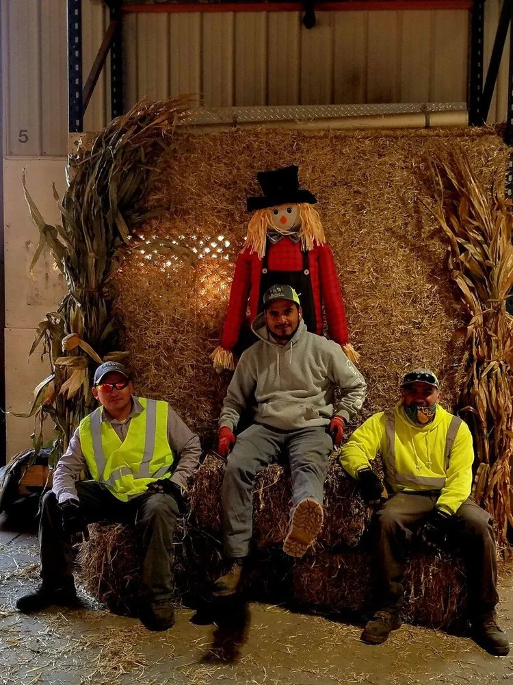 Affordable landscape design experts serving Lombard, IL - Balanced Environments