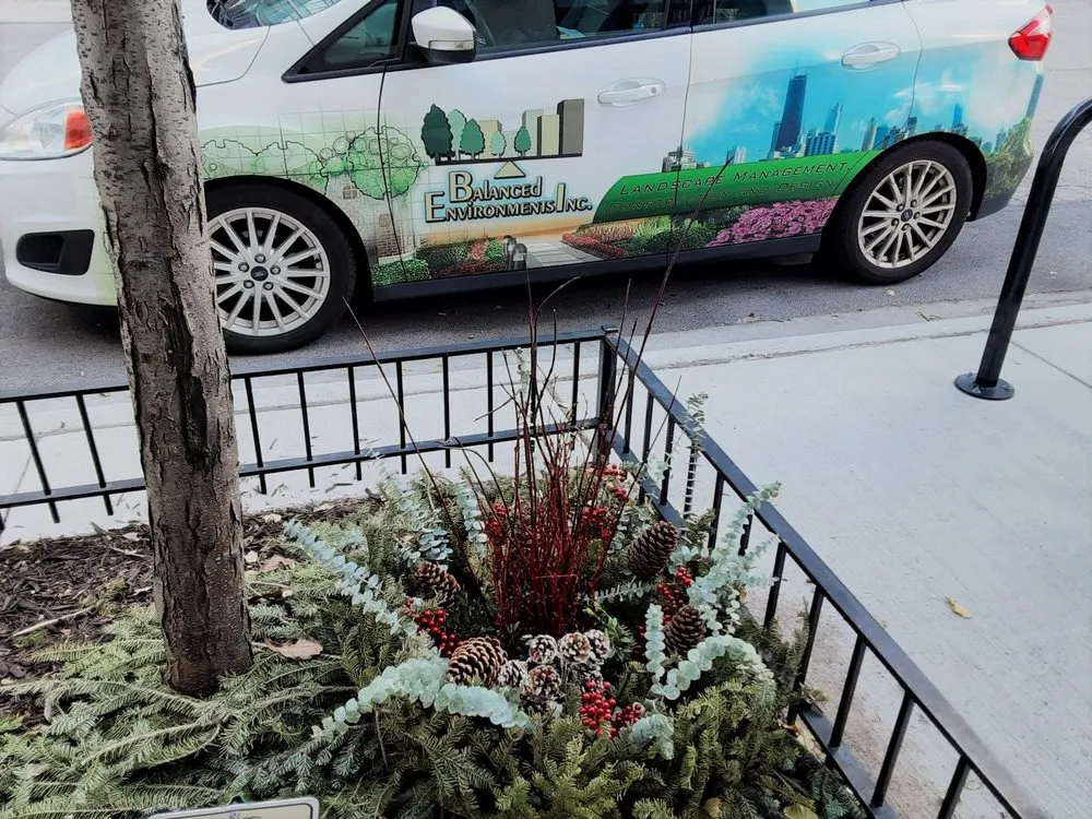 Expert yard cleanup service for year-round maintenance across Lombard, IL - Balanced Environments