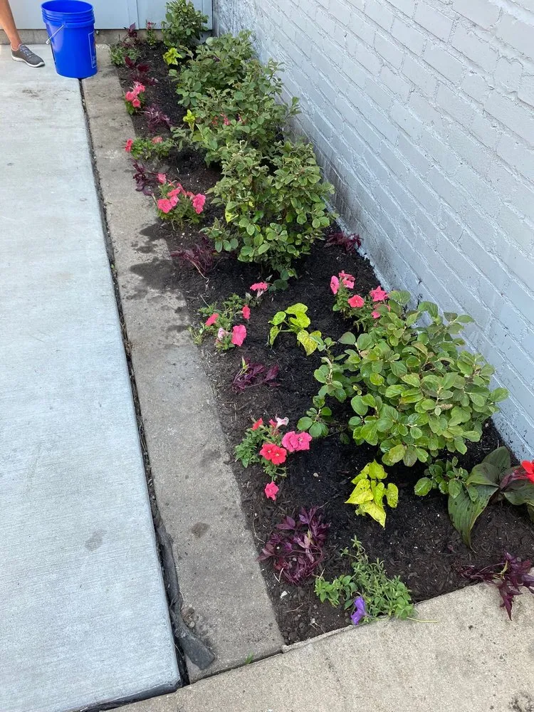 Top-rated lawn care service in Lombard, IL - Balanced Environments