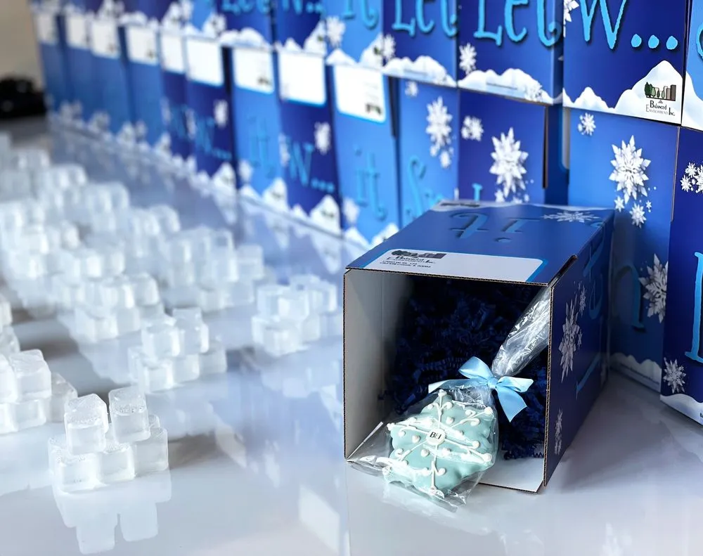 Custom outdoor landscaping in Lombard, IL by Balanced Environments