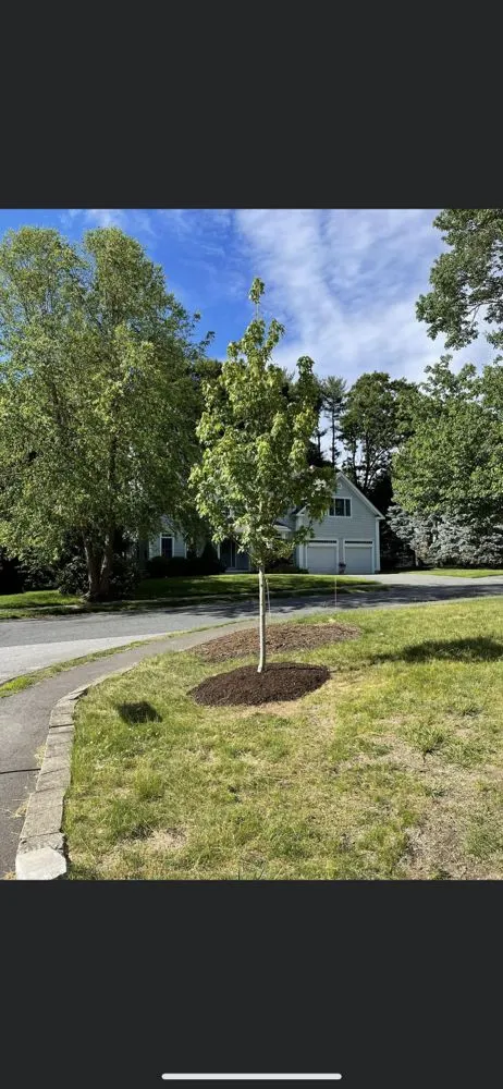 Reliable landscape design for outdoor upgrades across Wellesley, MA - Balboni Garden & Landscape