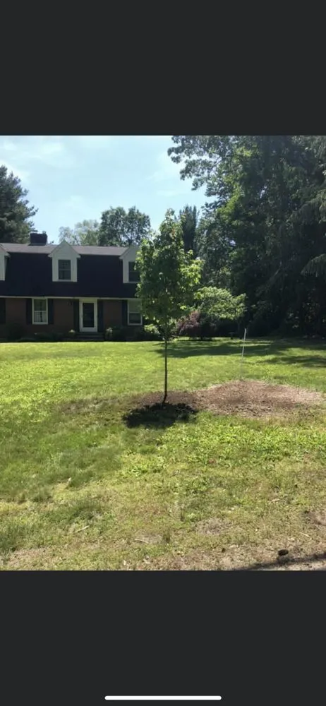 Reliable yard cleanup service in Wellesley, MA - Balboni Garden & Landscape