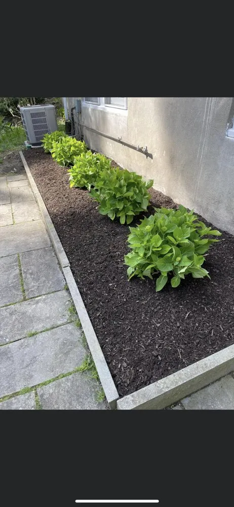 Expert outdoor landscaping experts serving Wellesley, MA - Balboni Garden & Landscape