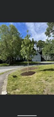 Balboni Garden & Landscape